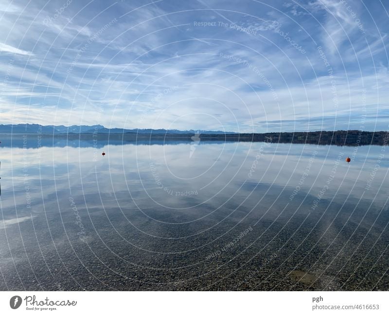 Eiskälte am Starnberger See Lifestyle Freude Glück harmonisch Erholung ruhig Meditation Winter Winterurlaub Sport Schwimmen & Baden Umwelt Natur Landschaft