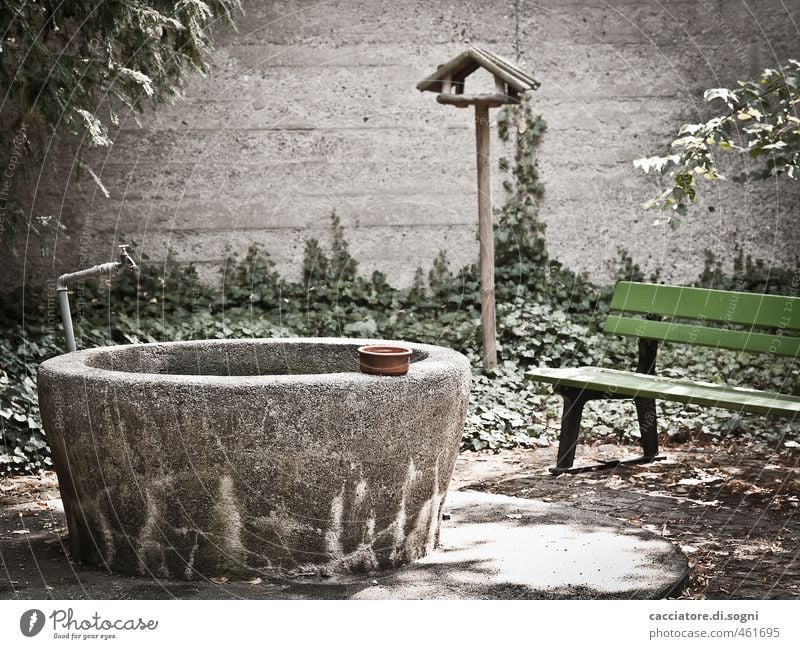 Ort der Ruhe Wasserhahn Umwelt Sommer Schönes Wetter Efeu Garten Park Friedhof Mauer Wand Brunnen Wasserstelle Futterhäuschen Parkbank dunkel einfach grau grün