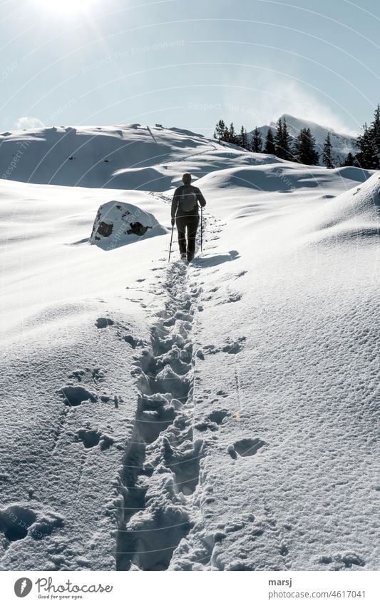 Winterwandern in den frisch verschneiten Bergen. Schnee Winterzauber Tourismus winterlich Natur Morgen ruhig Kontrast Stille harmonisch Berge u. Gebirge