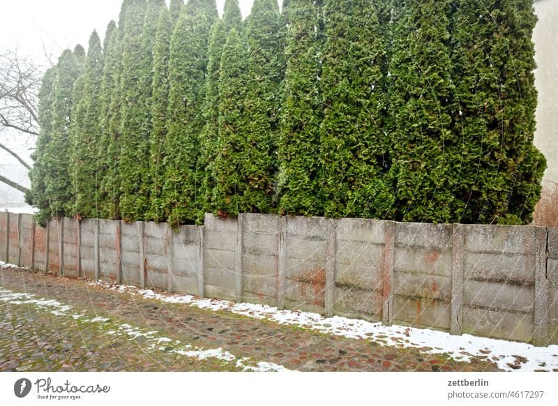 Weg mit Mauer und Hecke fischerdorf hafenstadt hanse hansestadt historisch kalt kleinstadt mecklenburg meckpomm meer mv nebel neuschnee ostsee stadtkern strand