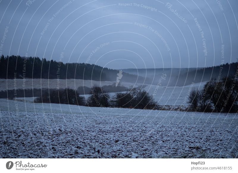 Ein Fogy-Wintertag Schnee kalt weiß Schneelandschaft Landschaft Frost Winterlandschaft Baum Wald Winterspaziergang Natur Wetter Winterwald Jahreszeiten Bäume