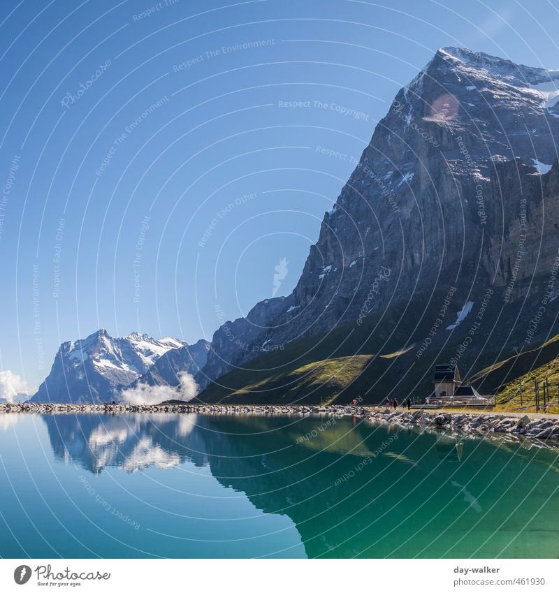 Eiger Nordwand Natur Landschaft Urelemente Wolkenloser Himmel Sommer Schönes Wetter Schnee Gras Felsen Alpen Berge u. Gebirge Gipfel Schneebedeckte Gipfel