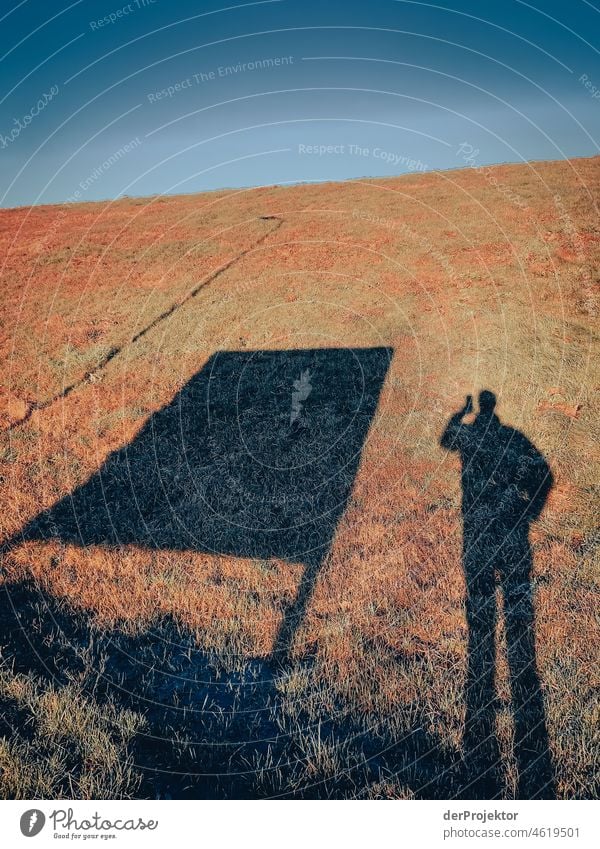 Sonniger Tag mit Schatten am Deich in Friesland Schilfgras Schilfrohr gefroren Eis Sonnenaufgang Küste Winter friesland Niederlande Baumstamm Silhouette Muster