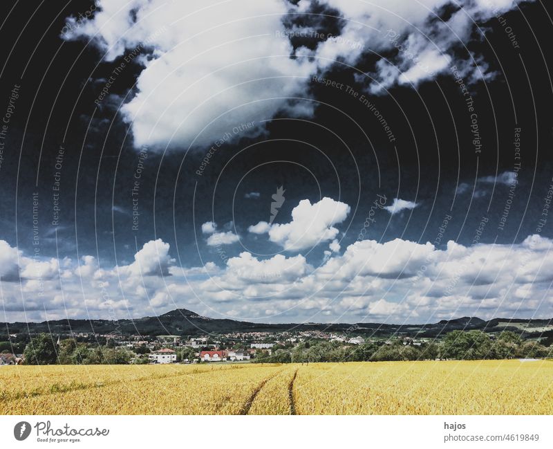 Feld mit reifem Roggen und blauem Himmel Müsli Landschaft Wolken acre Ackerbau Bodenbearbeitung Lebensmittel Korn Industrie Bestandteil Natur ländlich Sommer