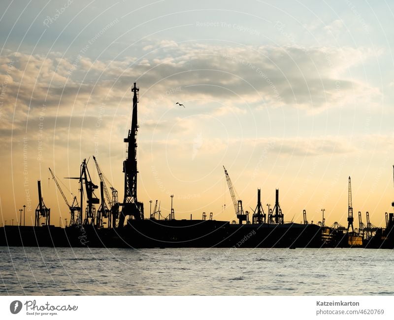 Hamburger Hafen Industrie vor Sonnenuntergang Außenaufnahme Schifffahrt Hafenstadt Farbfoto Elbe Stadt Binnenschifffahrt Wahrzeichen Verkehr