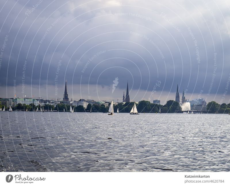 Segelboote auf der Alster in Hamburg Wasser Gewässer Regatta Stadt Herbst draußen Segeln Sonnenlicht sonnig draußen sein Sport metropole Türme Elbphilharmonie