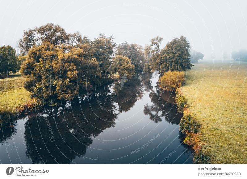 Nebliger Tag mit Blick von der Staudernheimer Brücke auf die Nahe III Herbst Klima Schönes Wetter Freude Stimmung Gefühle Fluss Baum Nebel Begeisterung fließen