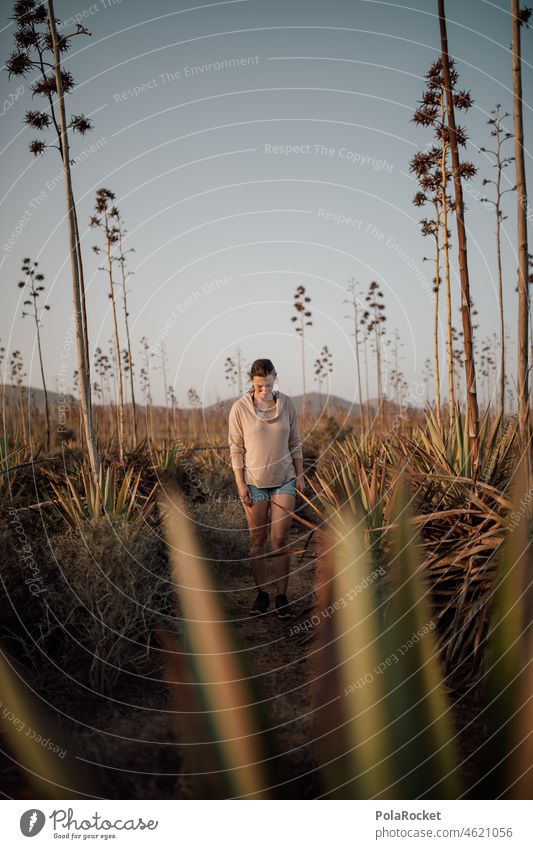 #A0# Walking Girl V Agave Agavenblüte Agavengewächs Agavenblatt Agavendicksaft Agavesirup Kanaren Kanarische Inseln Fuerteventura Abenteuer Abenteurer