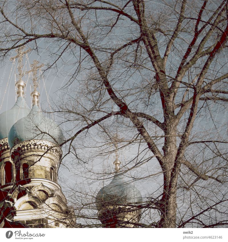 Leuchttürme Kirche Architektur Außenaufnahme Detailaufnahme Kirchturmspitze Orthodoxe Kirche Christentum Orthodoxie hoch oben Religion & Glaube Gebäude Farbfoto