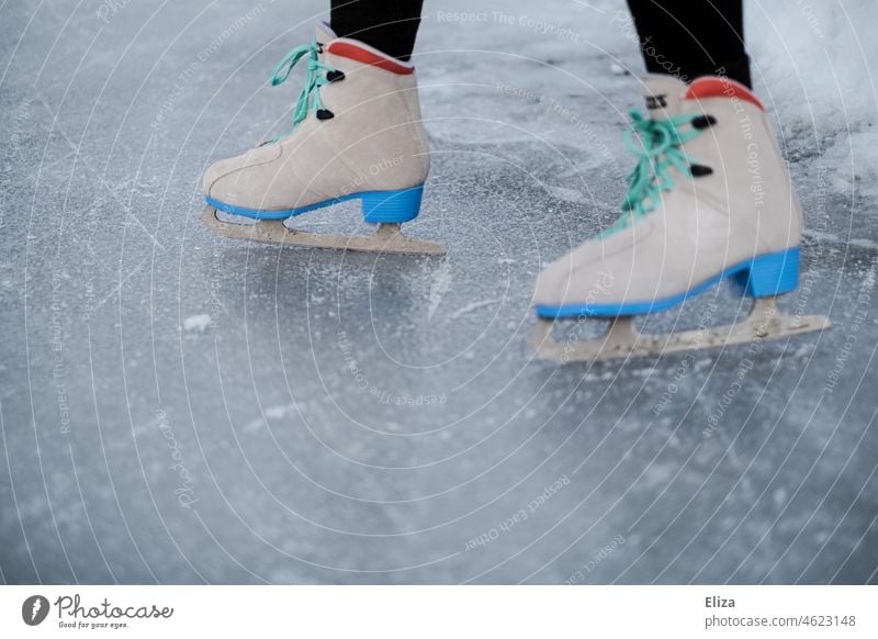 Frau läuft Schlittschuh auf einer Eislauffläche eislauffläche Schlittschuhe Schlittschuhlaufen Winter Wintersport See Freizeit & Hobby Beine Eisfläche