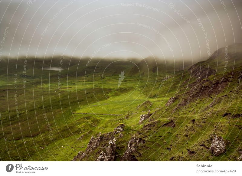 [Skye 16] Nebel von rechts, Sonne von links Umwelt Natur Landschaft Urelemente Erde Himmel Wolken Klima Wetter Schönes Wetter schlechtes Wetter Pflanze Gras