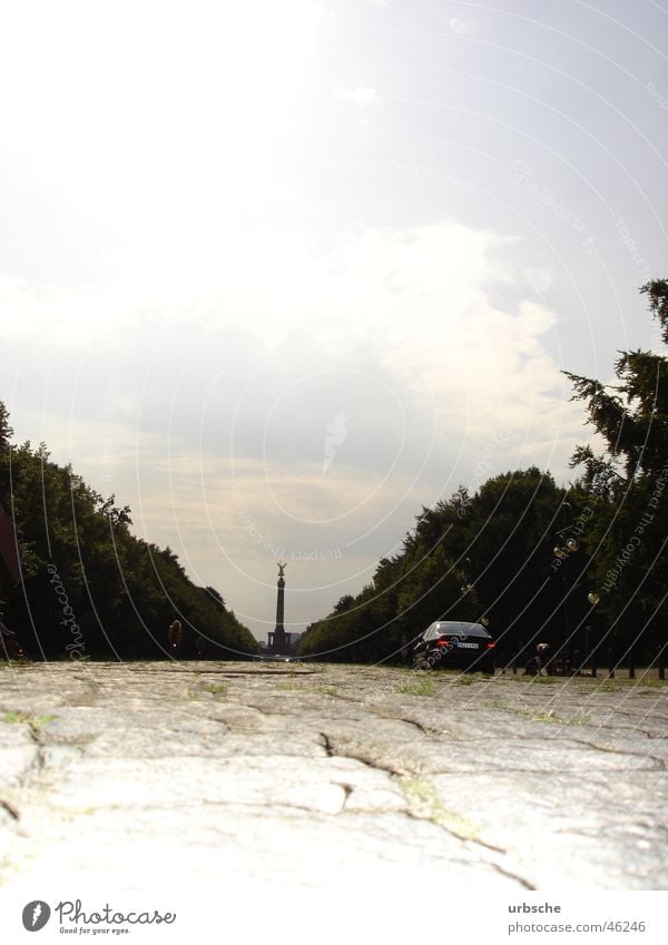 Berlin Siegessäule Straße des 17. Juni Tiergarten Denkmal Göttin Denkmalschutz Bauwerk Mitte Wolken Dämmerung Wald Baum Sommer ost-west-achse in berlin