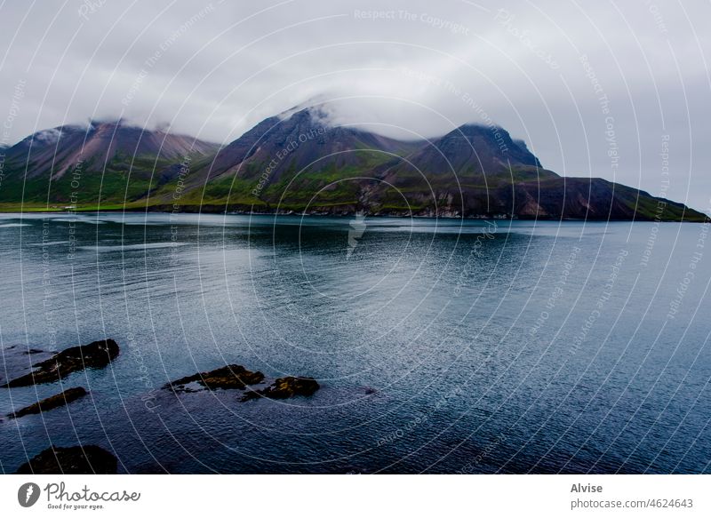 2021 08 16 Borgarfiordur Eystri Isländischer Strand 6 malerisch Natur Felsen Fjord storurd Gras Urlaub Europa Schaf Einsamkeit grün Felsblöcke friedlich wandern