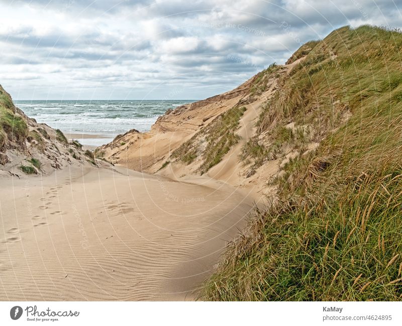 Strandzugang in den Dünen an der dänischen Nordseeküste in Jütland bei Nørre Vorupør Meer Landschaft Sand Urlaub Ferien Reisen Reiseziel Küste Weg bewölkt Ozean