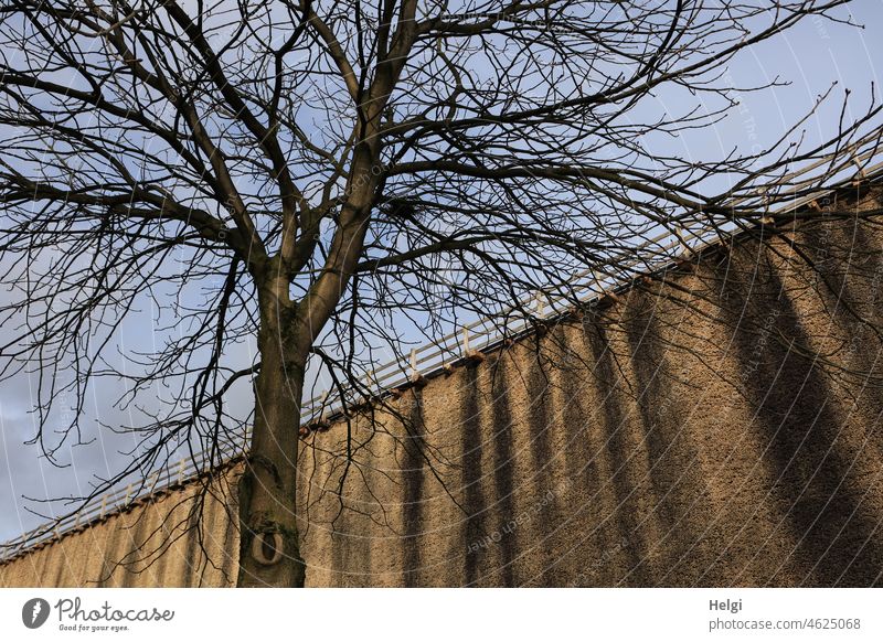 ein kahler Baum steht vor einem riesigen Gradierwerk, drüber ist blauer Himmel Winter Saline Salzgewinnung Salzluft salzig Schwarzdorn rieseln Salzwasser