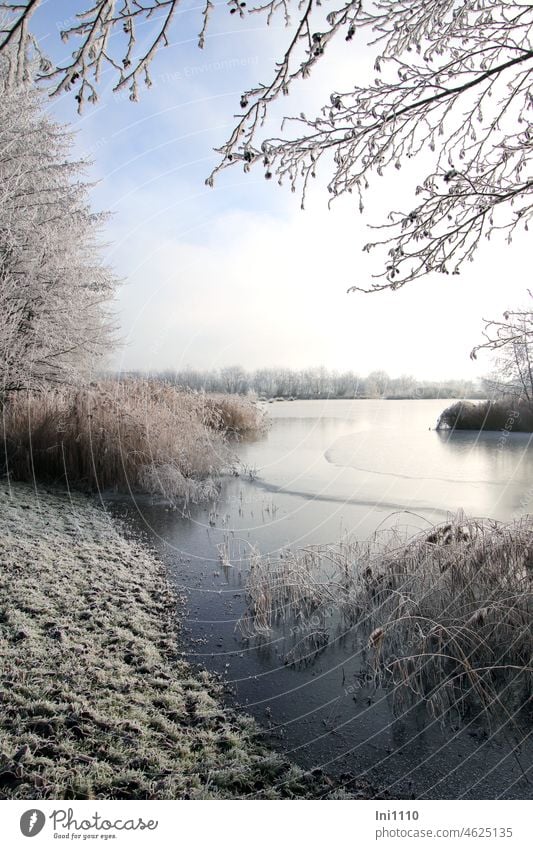 Wintertraum Raureif am kleinen See Natur Landschaft Frost schönes Wetter Kälte Stimmung Taumwetter verzauberte Landschaft Raureif am Morgen Bäume Gräser