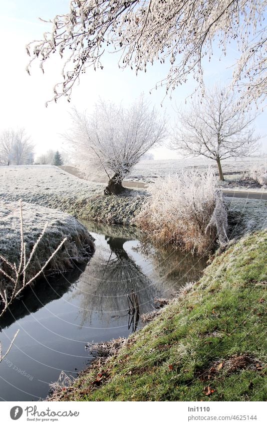 Wintertraum mit Raureif Kopfweide spiegelt sich in der Hase Natur Landschaft schönes Wetter Stimmung Taumwetter verzauberte Landschaft Raureif am Morgen Bäume