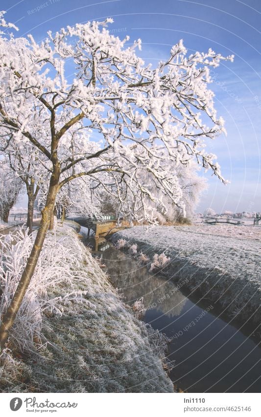 Wintertraum an der Hase mit Bifurkation Natur Landschaft schönes Wetter Stimmung Taumwetter verzauberte Landschaft Raureif Raureif am Morgen Bäume Gräser