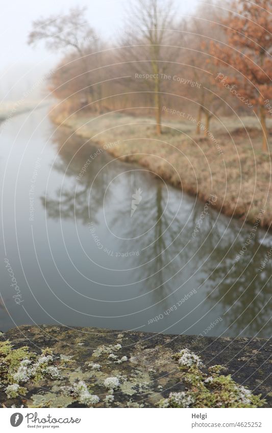 Nebel und Kälte morgens am Fluss mit Spiegelung im Wasser, im Vordergrund eine Mauer mit Moos und Raureif Winter Flussufer Frost Baum krumm kalt Landschaft