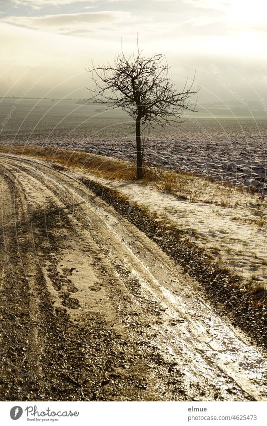 leicht verschneiter Acker mit einem Feldweg, auf dem sich die Sonne im tauenden Eis spiegelt, Fußabdrücke sichtbar werden und ein kleiner kahler Baum die Verbindung zum im trüben Licht liegenden Horizont bildet