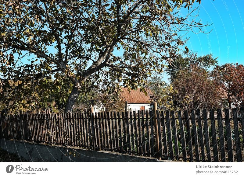 Lattenzaun vor Bauernhaus in Ungarn Zaun Holzzaun Bauernhof Gehöft Baum Idylle Nationalpark Kiskunság-Nationalpark natürlich Gebäude Landwirtschaft ländlich