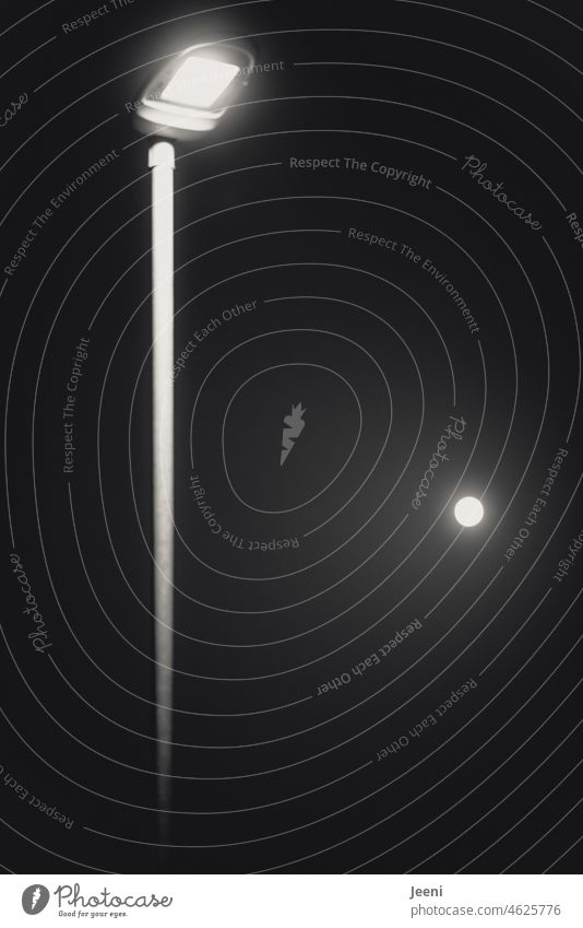 Nächtliche Doppelbelichtung Licht Nacht Mond Vollmond Laterne Straßenlaterne Straßenlampe dunkel Mondschein leuchten Beleuchtung schwarz Schwarzweißfoto