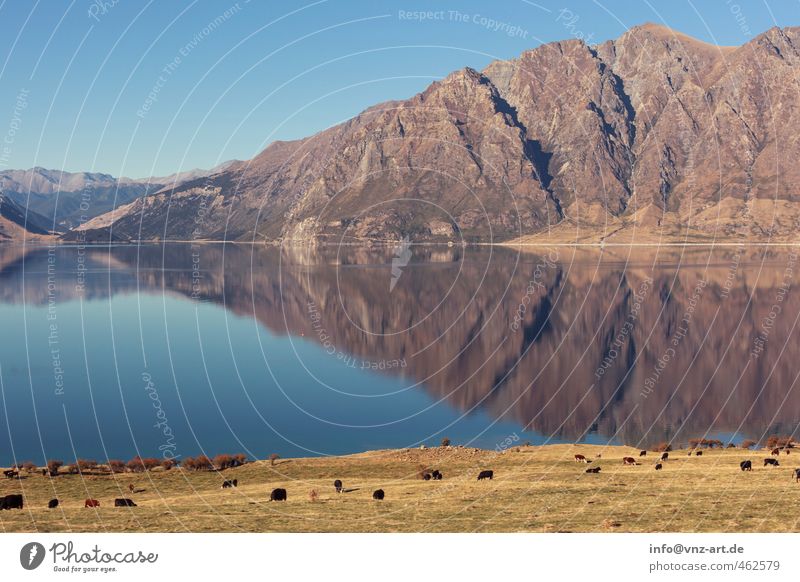 reflect Umwelt Natur Landschaft Wasser Herbst Schönes Wetter Gras Wiese Feld Hügel Felsen Alpen Berge u. Gebirge Gipfel Seeufer blau Reflexion & Spiegelung