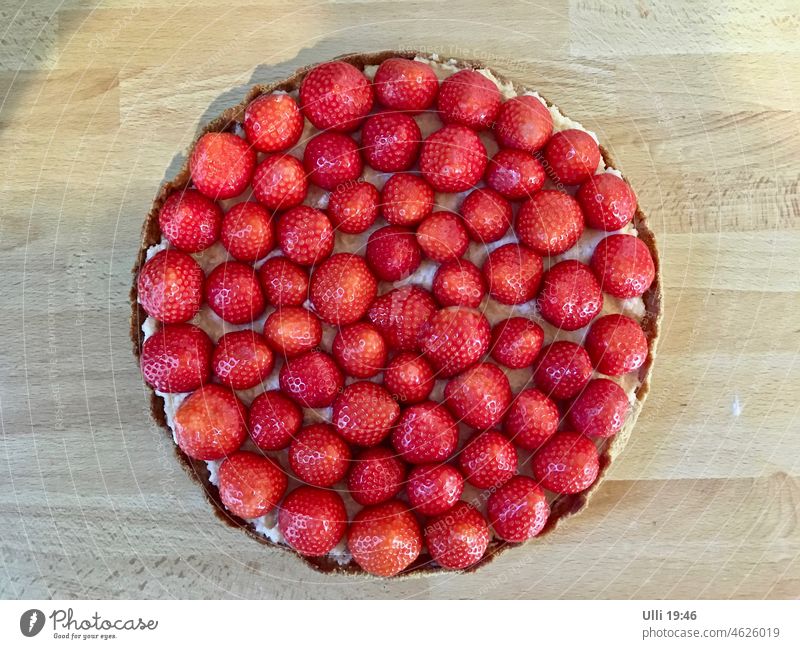 Womit man (leider nur einen Tag) durch den Winter kommt....... Kuchen Torte Erdbeeren Dessert Backwaren Vogelperspektive süß lecker Farbfoto Ernährung Süßwaren