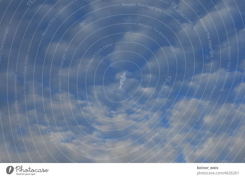 Himmel mit Schäfchenwolken Wolken grau blau weiß Klima Wetter Querformat Muster Hintergrund Vorlage klimawandel düster duster dunkel wetter menschenleer