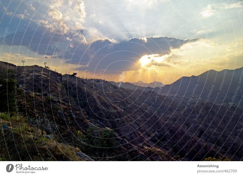 die Sonne sinkt! Umwelt Natur Landschaft Pflanze Luft Himmel Wolken Horizont Sonnenaufgang Sonnenuntergang Sonnenlicht Sommer Wetter Schönes Wetter Wärme Gras