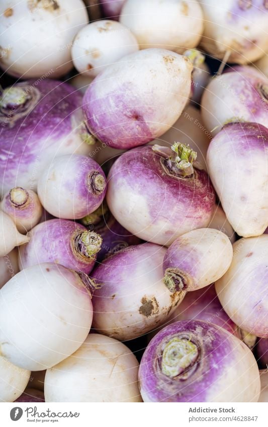 Bündel Steckrübengemüse auf dem Markt rutabaga Stapel Gemüse Basar Lebensmittel Hintergrund Verkaufswagen organisch gesunde Ernährung Wurzel verschiedene Farbe