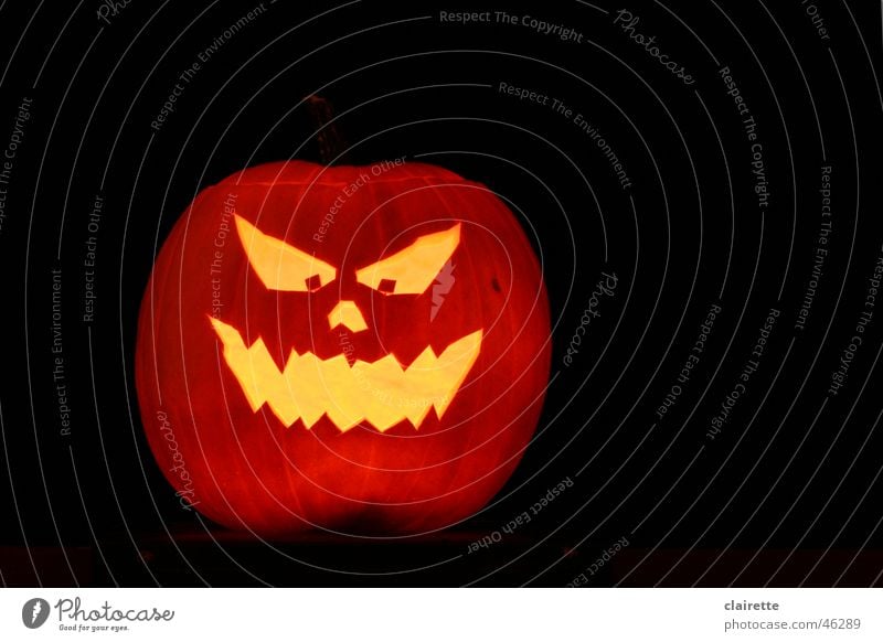 Halloween Kürbis Farbfoto mehrfarbig Textfreiraum rechts Nacht Gesicht gruselig heiß gelb gold schwarz Angst gefährlich helloween orange gruseln