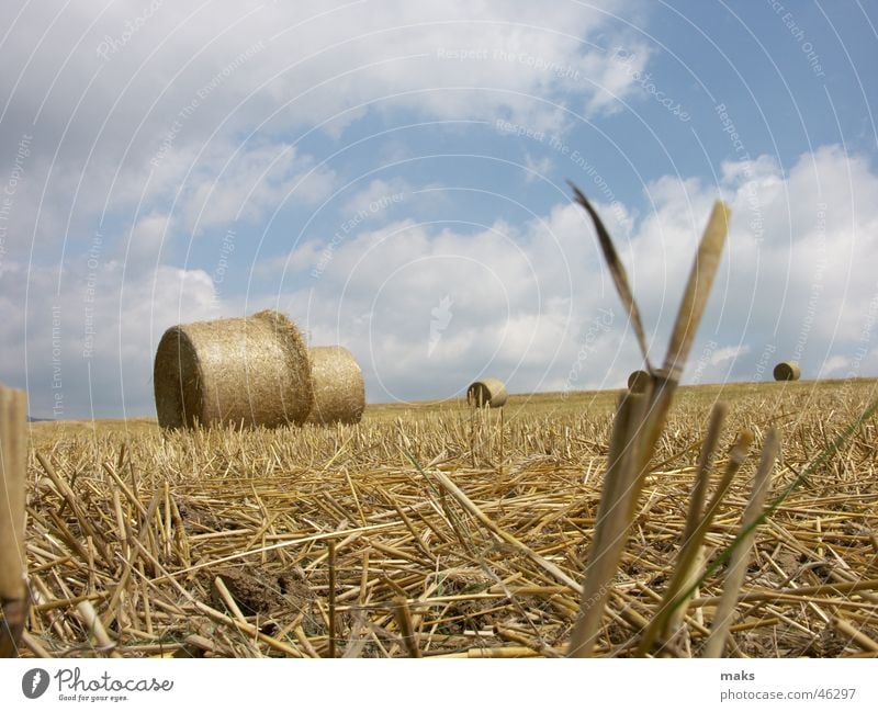 sommerschluss Feld Stroh Strohballen gelb Wolken Himmel blau Halm