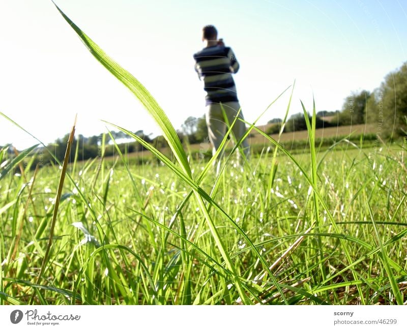 Fototour im Grünen Gras Vordergrund Fotograf Jugendliche Hintergrundbild Froschperspektive Fotografie Außenaufnahme hell Natur Interesse Himmel blau Freiheit