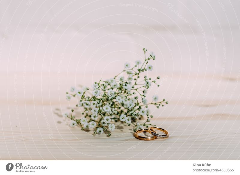 Eheringe Detail blume blumenstrauß ehering eheringe einheitlichkeit einzelne blume gold heiraten hochzeit jewel liebe liebesverhältnis nahaufnahme natur pflanze