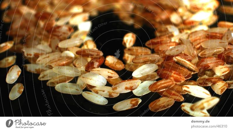 Naturreis Wildreis Oval braun weiß Ernährung Lebensmittel Spiegel schwarz Reis Glas spiegelunge