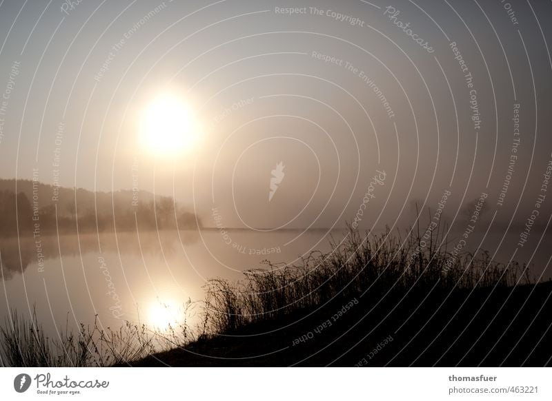 dream on wandern Natur Landschaft Erde Luft Wasser Wolkenloser Himmel Horizont Sonnenaufgang Sonnenuntergang Herbst Schönes Wetter Nebel Baum Gras Sträucher