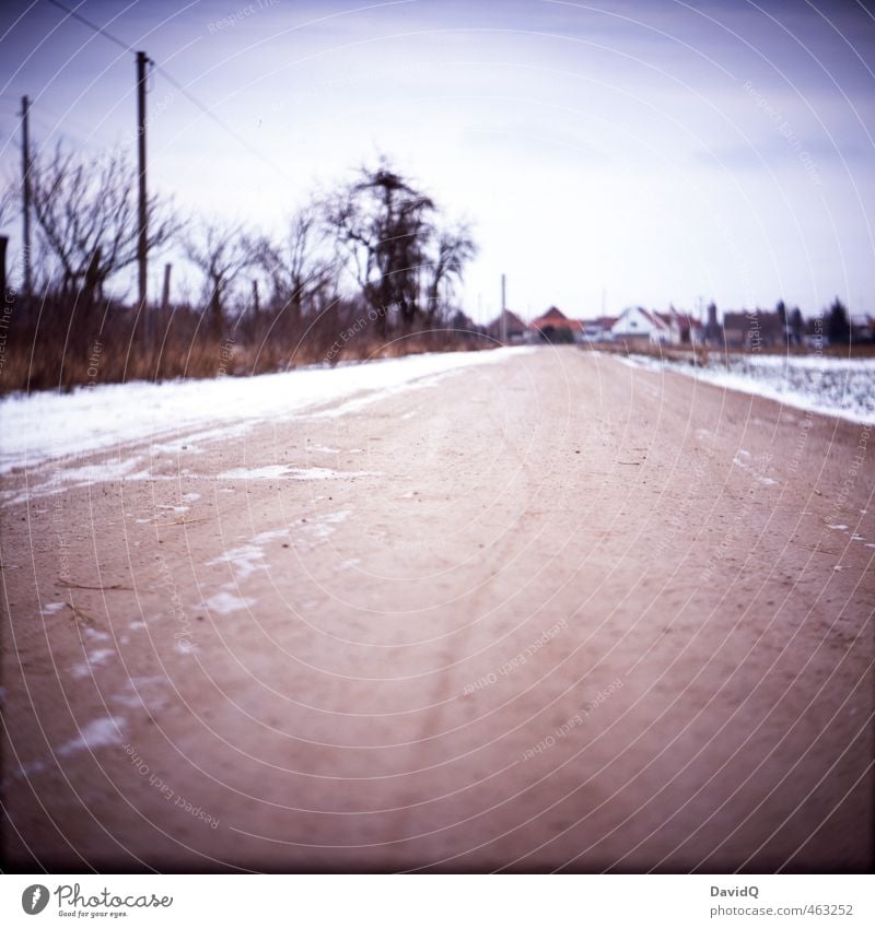 irgendwie Heimat Landschaft Schnee Dorf Verkehrswege Straße Wege & Pfade Heimweh analog Winter Farbfoto Außenaufnahme Textfreiraum unten Textfreiraum Mitte Tag