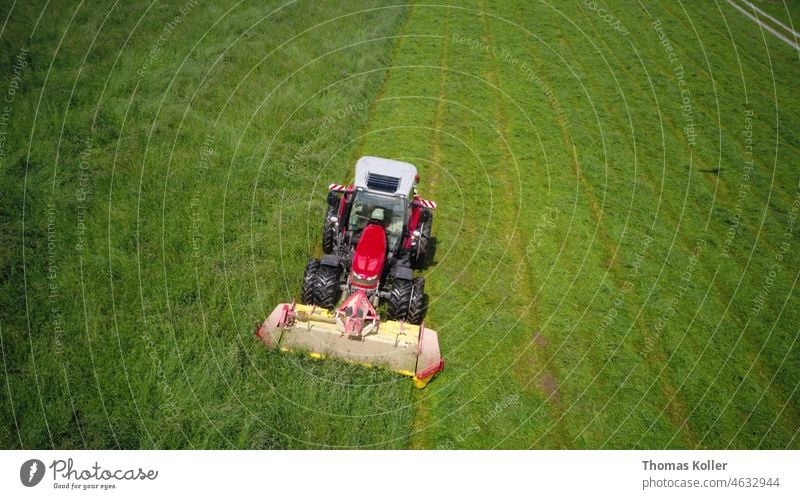 Mähen in der Schweizer Landwirtschaft massey ferguson Traktor Landschaft Bauernhof Landmaschine Kraftfahrzeug mähen Wiese Ackerbau Feld Ernte Maschine Pflanze