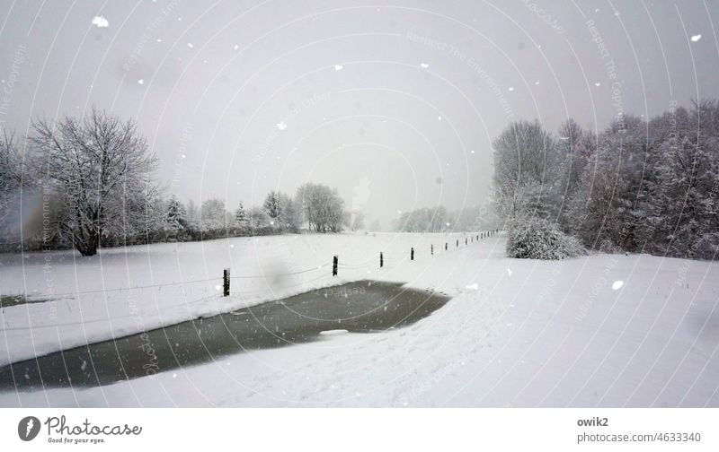 Einsam Landschaft Umwelt Natur karg Winterlandschaft Wintertag Ferne Winterstimmung Schneelandschaft Weite Feld Bäume Menschenleer kühl Sträucher verschneit