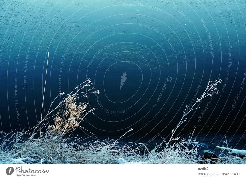 Blaues Ufer Seeufer Frost Eis Winter Landschaft Natur Umwelt frieren kalt gefroren Farbfoto Menschenleer Panorama (Aussicht) Strukturen & Formen Außenaufnahme
