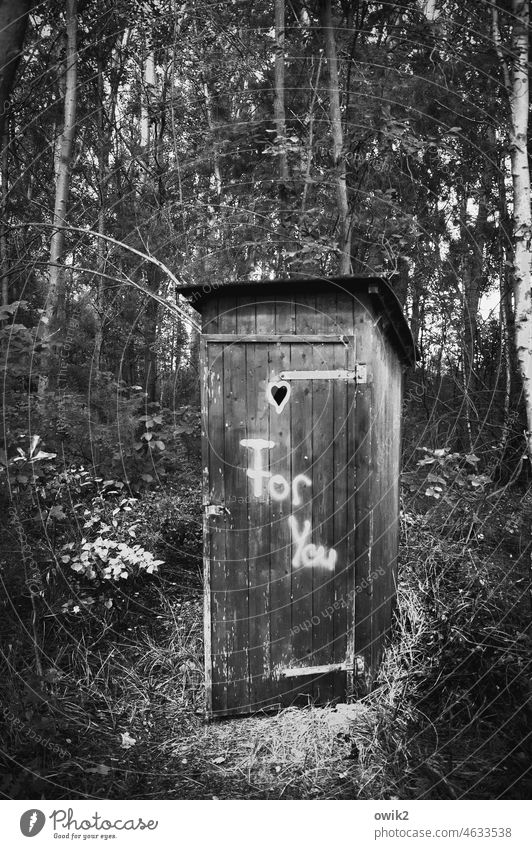 Sonderangebot Plumpsklo einfach Toilette Klohäuschen Gebäude Baracke Holz Tür bescheiden Herz Landschaft Natur Umwelt Zweige u. Äste Baum Wald Hütte