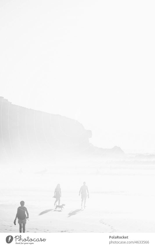 #A0# Walk at the Beach Spaziergang Spaziergang in der Natur Spaziergang am Strand Strandspaziergang Strandspaziergänger Schwarzweißfoto Meer Küste