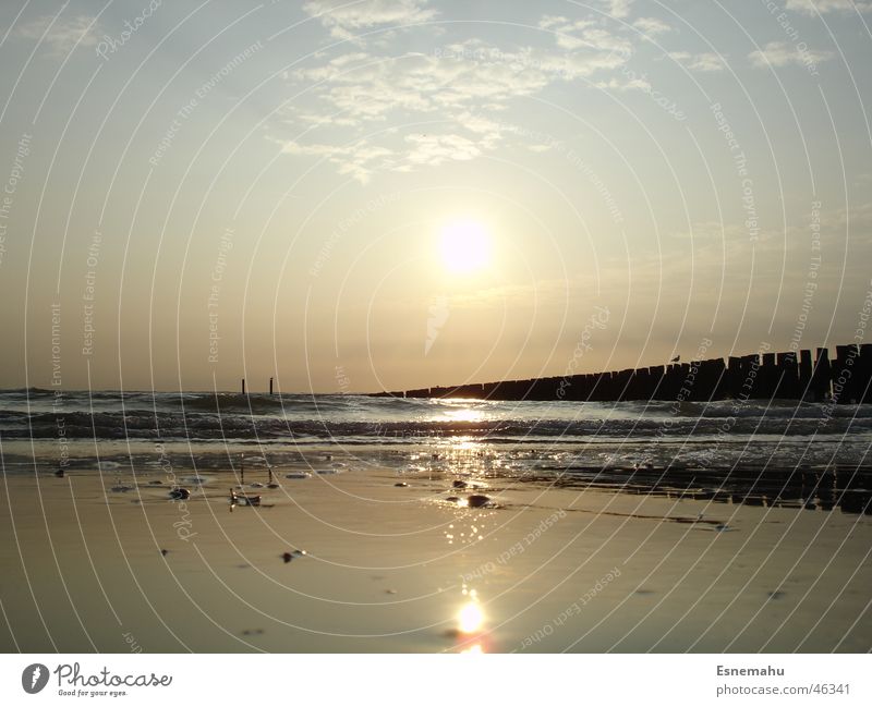 Freundliche Melancholie Strand dunkel Dämmerung Meer Wolken glänzend Licht Ferne See Sonnenuntergang Sonnenaufgang Horizont gelb rot weiß braun schwarz Himmel