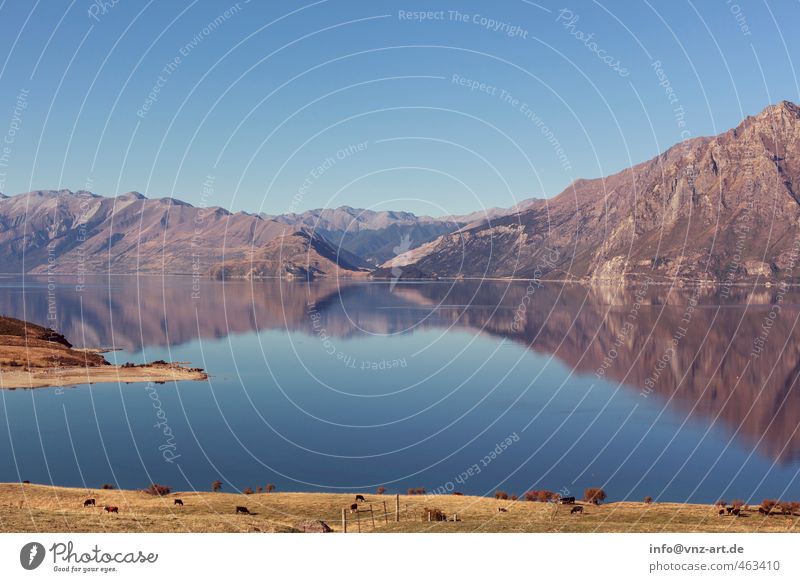 Am See Umwelt Natur Landschaft Pflanze Tier Wasser Himmel Wolkenloser Himmel Herbst Klima Wetter Schönes Wetter Wiese Hügel Felsen Alpen Berge u. Gebirge