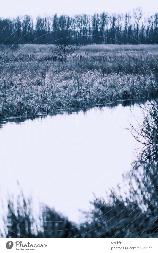 ruhige Aue im schneelosen Winter Fluss Flussufer Flüsschen Bach Bachufer Biotop Winterkälte Kälte ländlich Winterruhe Ruhe Winterstille Raureif verträumt