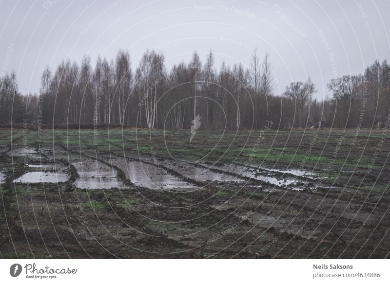 Pfütze auf landwirtschaftlichem Feld Ackerbau Herbst Hintergrund schön bedfordshire blau Land Landschaft Tag leer Umwelt Wald Gras grün Boden Schlamm