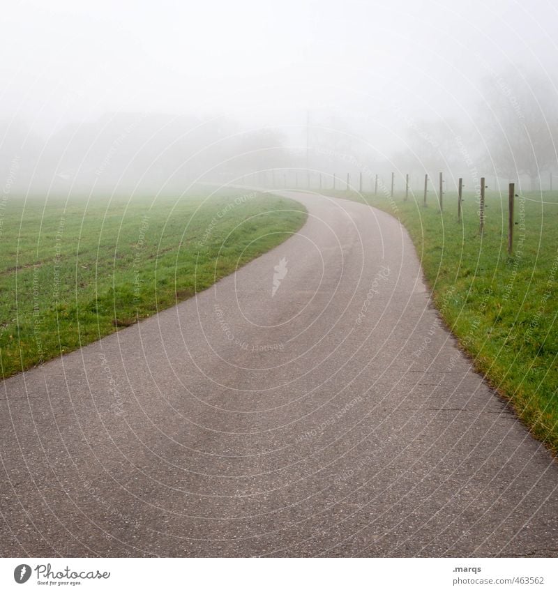 Into Ausflug Umwelt Natur Landschaft Herbst schlechtes Wetter Nebel Baum Verkehr Straße Wege & Pfade einfach Zukunft ungewiss orientierungslos Farbfoto