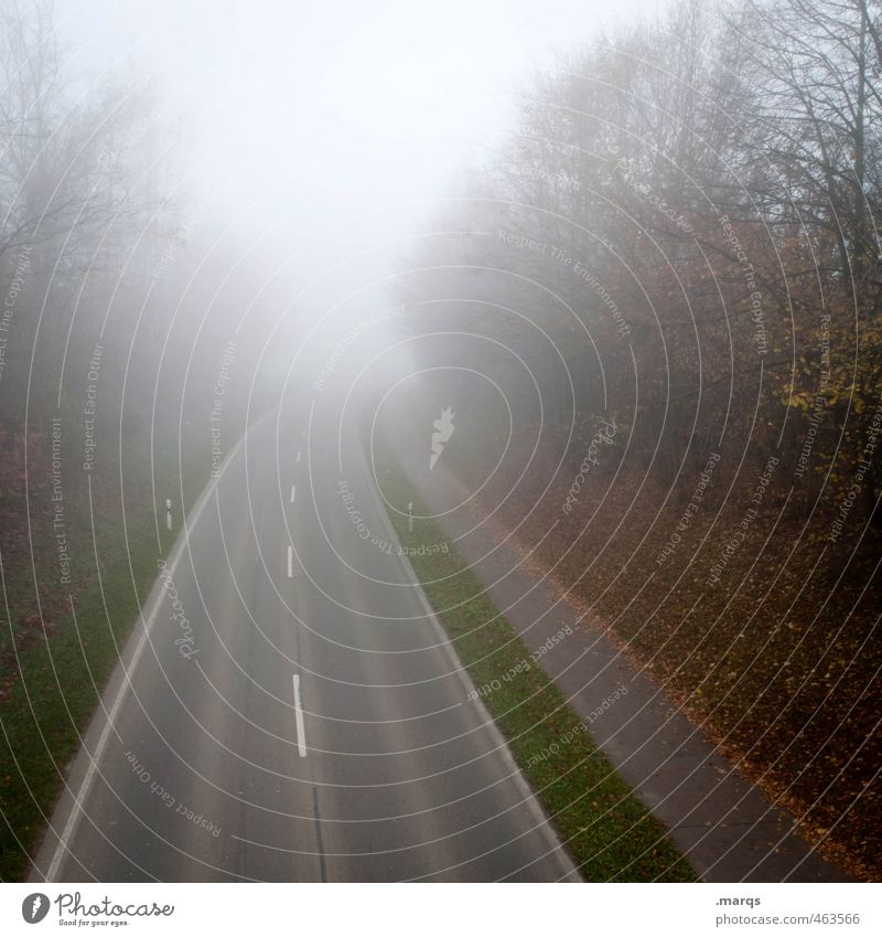 Auf und davon Umwelt Natur Landschaft Herbst schlechtes Wetter Nebel Pflanze Verkehr Straßenverkehr Wege & Pfade fahren kalt Stimmung Perspektive Zukunft