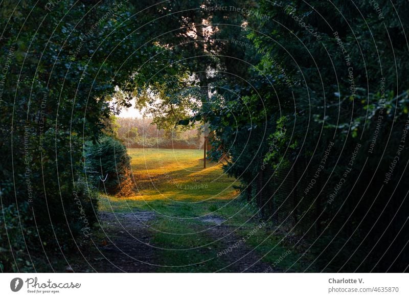 Tor zum Auenland Natur Zugang Übergang Idylle Sommer Schönes Wetter Außenaufnahme Farbfoto Landschaft Erholung Umwelt Übergang in eine bessere Welt